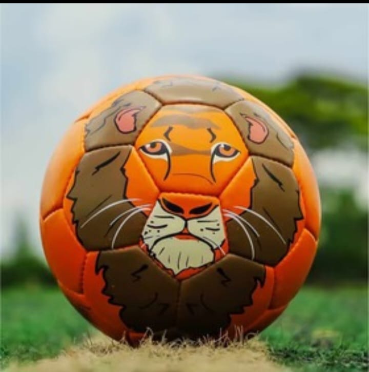 Football Animal Print Size 1